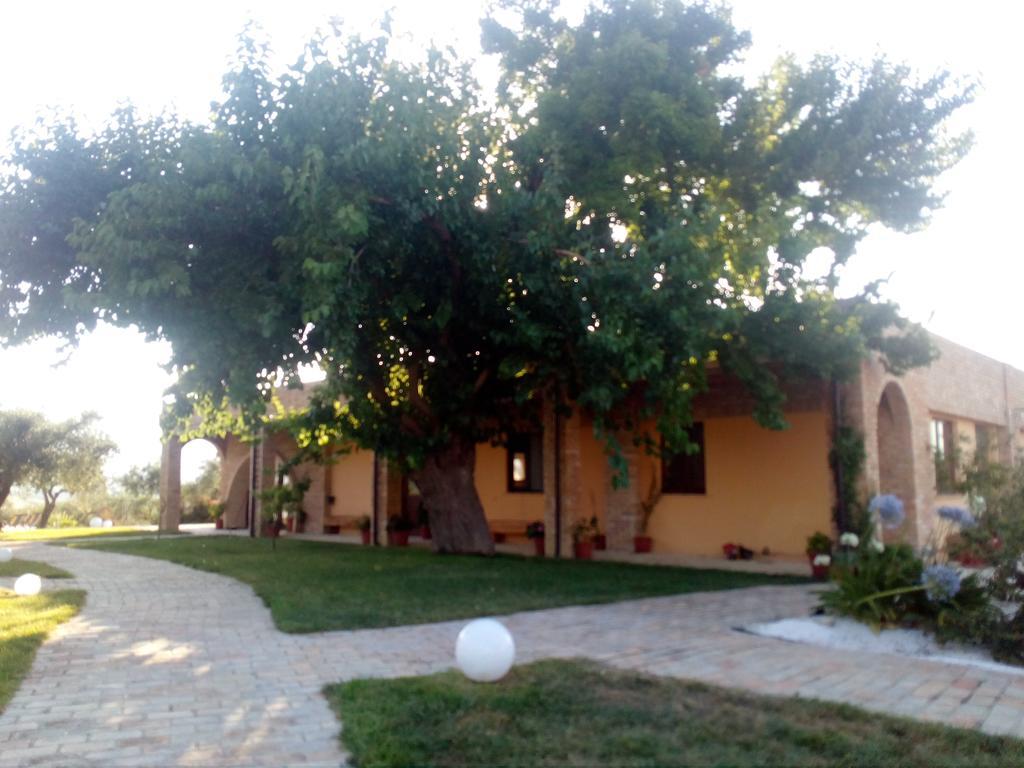 Agriturismo Piccolo Albero ลอเรโต อาปรุนติโน ภายนอก รูปภาพ